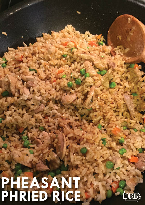 Pheasant phried rice is a great way to shake up your wild game and fried rice recipes! | Iowa DNR